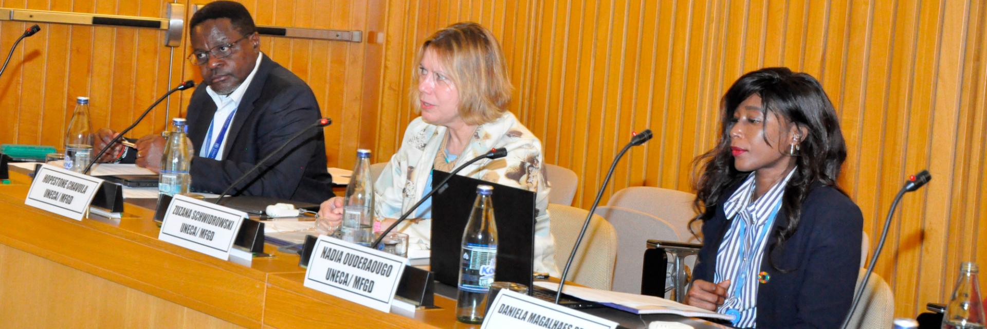 Opening remarks by Zuzana Schwidrowski at the regional dialogue on external financing and climate-resilient development
