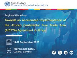Regional Workshop: Towards an Accelerated Implementation of the African Continental Free Trade Area (AfCFTA) Agreement in Africa