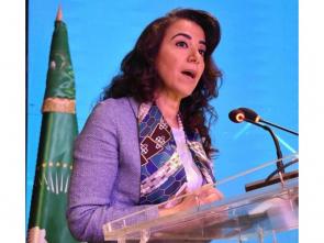 Opening Remarks by Ms. Hanan Morsy at the Ministerial Meeting of the 7th STC on Finance, Monetary Affairs, Economic Planning and Integration