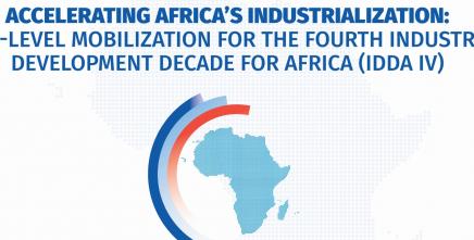 High-level Advocacy and Engagement for IDDA IV