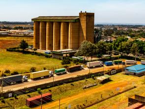 A pathway to greater regional food security through the AfCFTA