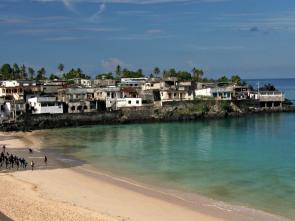 Tapping the diaspora: Comoros sees remittances as key to sustainable development