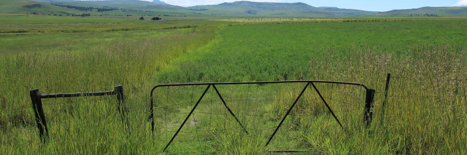 MEDIA ADVISORY - Conference on Land Policy in Africa 2025