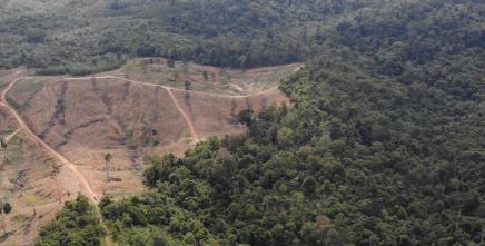 Landmark initiative to reshape how land governance is taught in Africa kicks off