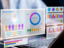 Capacity Development and Technical Workshop on Gender Statistics & Gender Monitoring and Reporting Systems - Mozambique