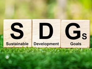 Accelerated Implementation of AfCFTA Agreement: Driving sustainable development and economic transformation in Southern and Eastern Africa Regions