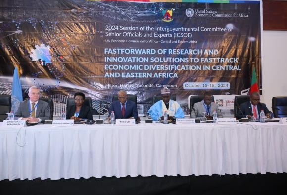Third Joint Session of the Intergovernmental Committee of Senior Officials and Experts of Central and Eastern Africa