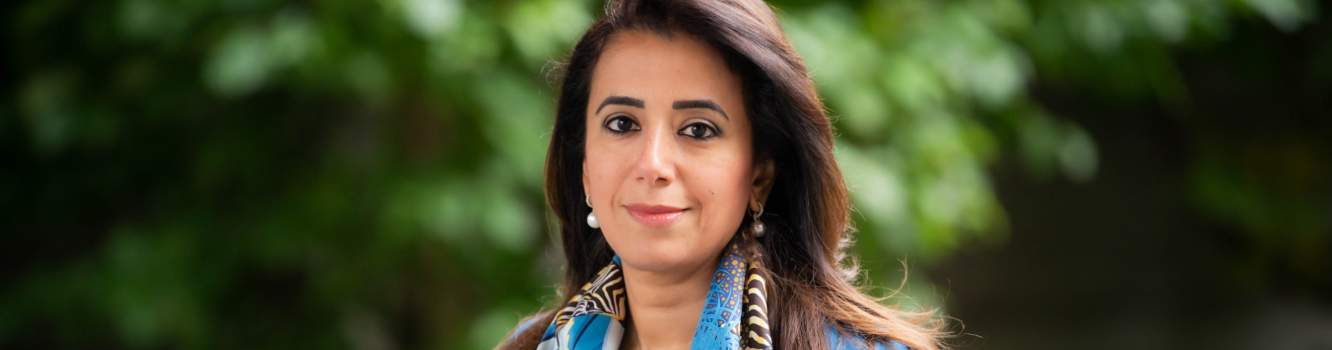 Deputy Executive Secretary (Programme)