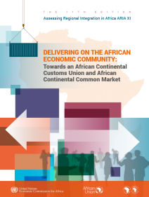 Assessing Regional Integration in Africa XI
